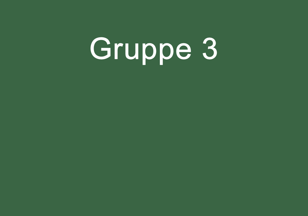Gruppeneinteilung Gruppe 3