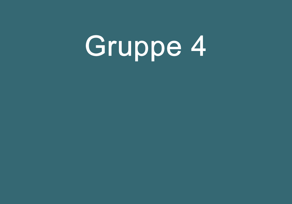 Gruppeneinteilung Gruppe 4