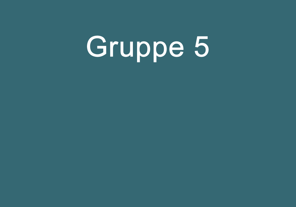 Gruppeneinteilung Gruppe 5