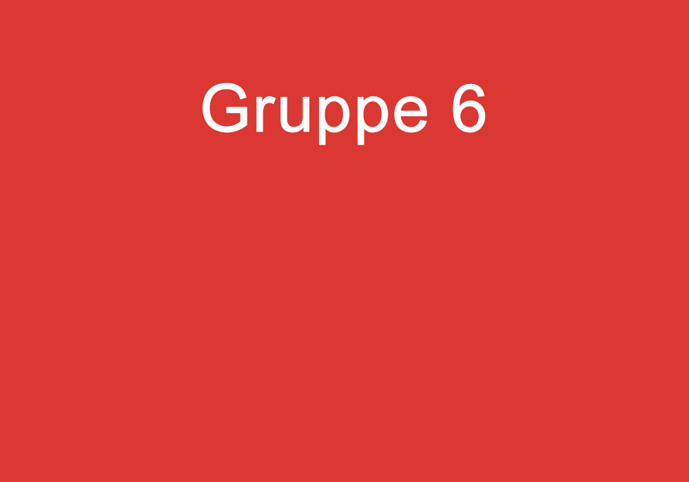Gruppeneinteilung Gruppe 6