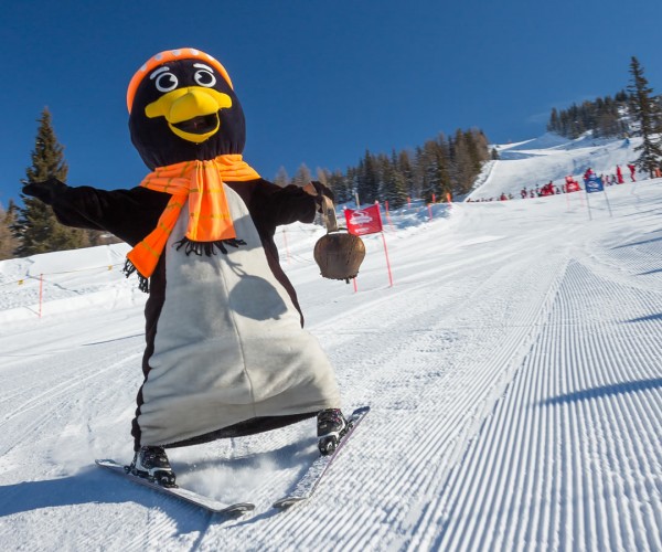 Maskottchen Pingo im Skigebiet Flachauwinkl-Kleinarl in Ski amadé